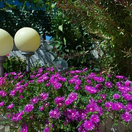 Апартаменти Katy